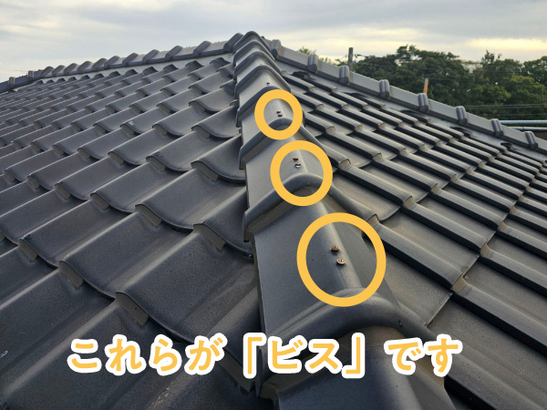 市原市F様邸_ビス打ち込み3