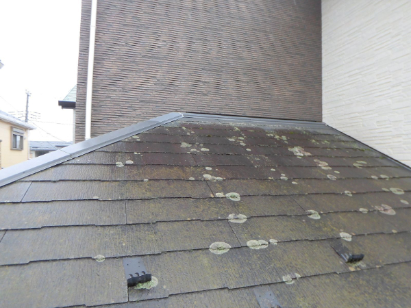 千葉市中央区_施工前下屋根