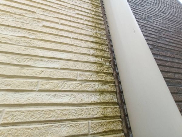 千葉市中央区T様_施工前コケ汚れ