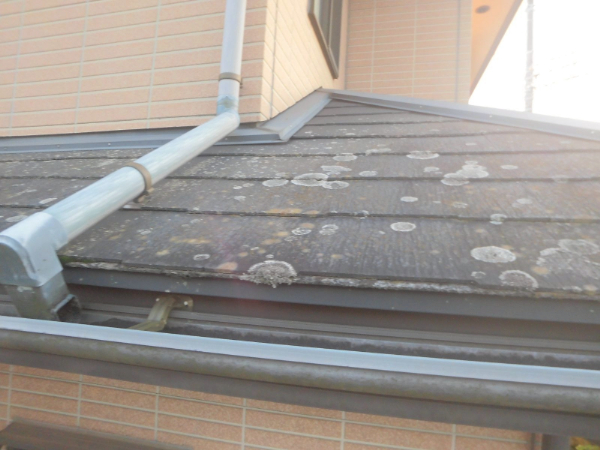 千葉市緑区I様_施工前屋根のコケ