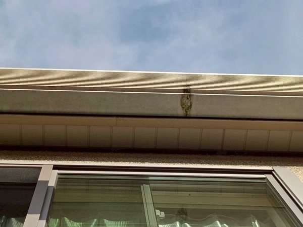 八千代市T様_雨樋黒すみ