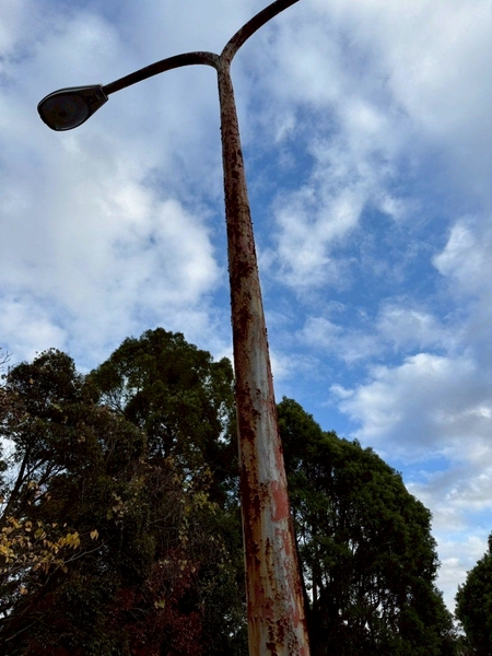 ゴルフ場_施工前の様子