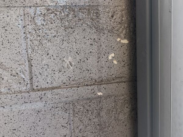 千葉市緑区O様邸_施工前塗料剥がれ