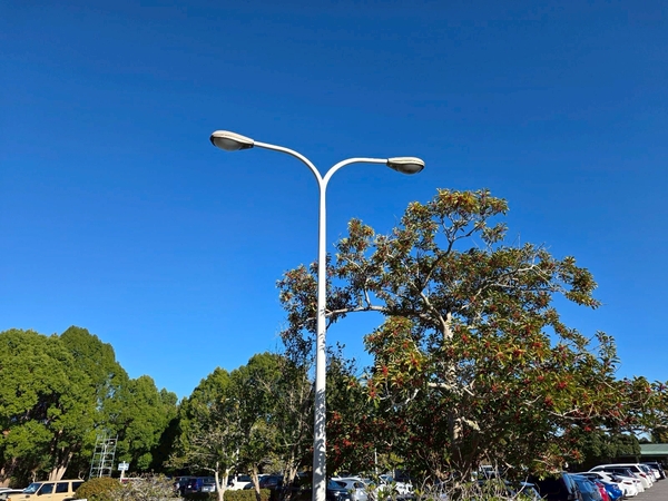 ゴルフ場_ポール施工後(1本)